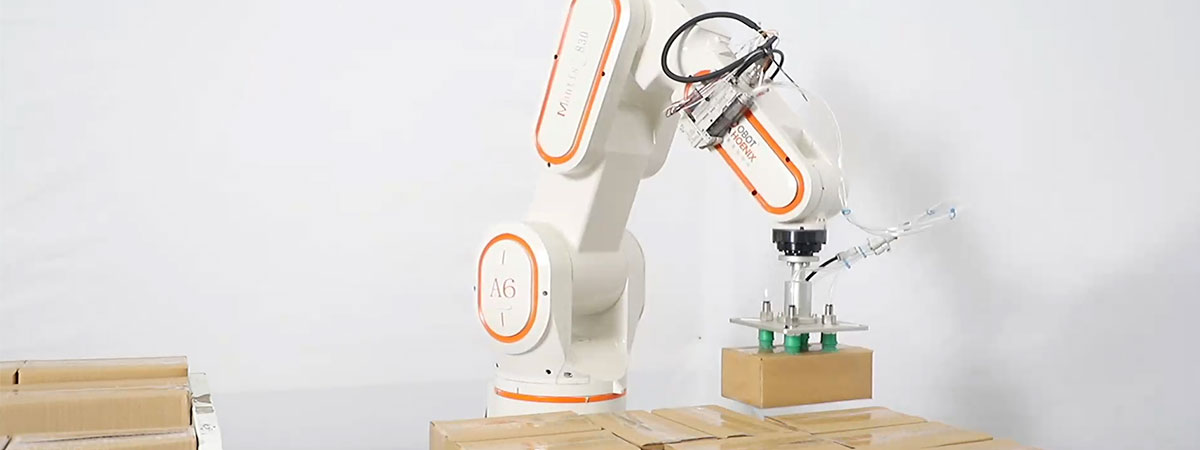 ¿Cómo elegir el sistema de paletización de robots adecuado?