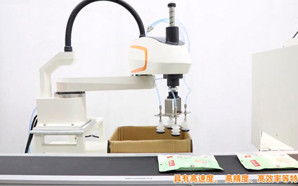 Robot SCARA Python 850-B10